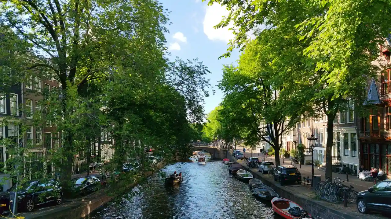 Amsterdam June.webp