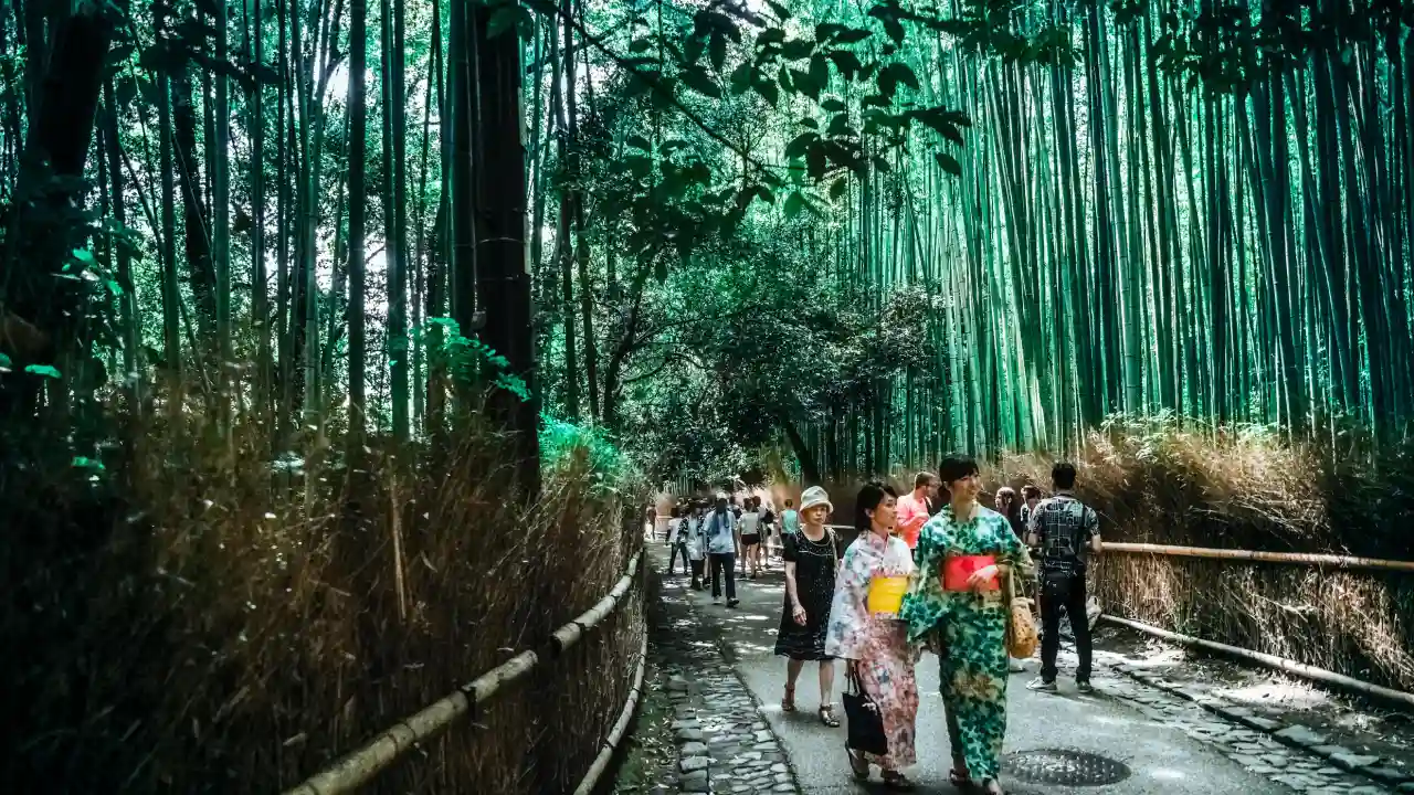 Arashiyama Bamboo Grove Kyoto.webp