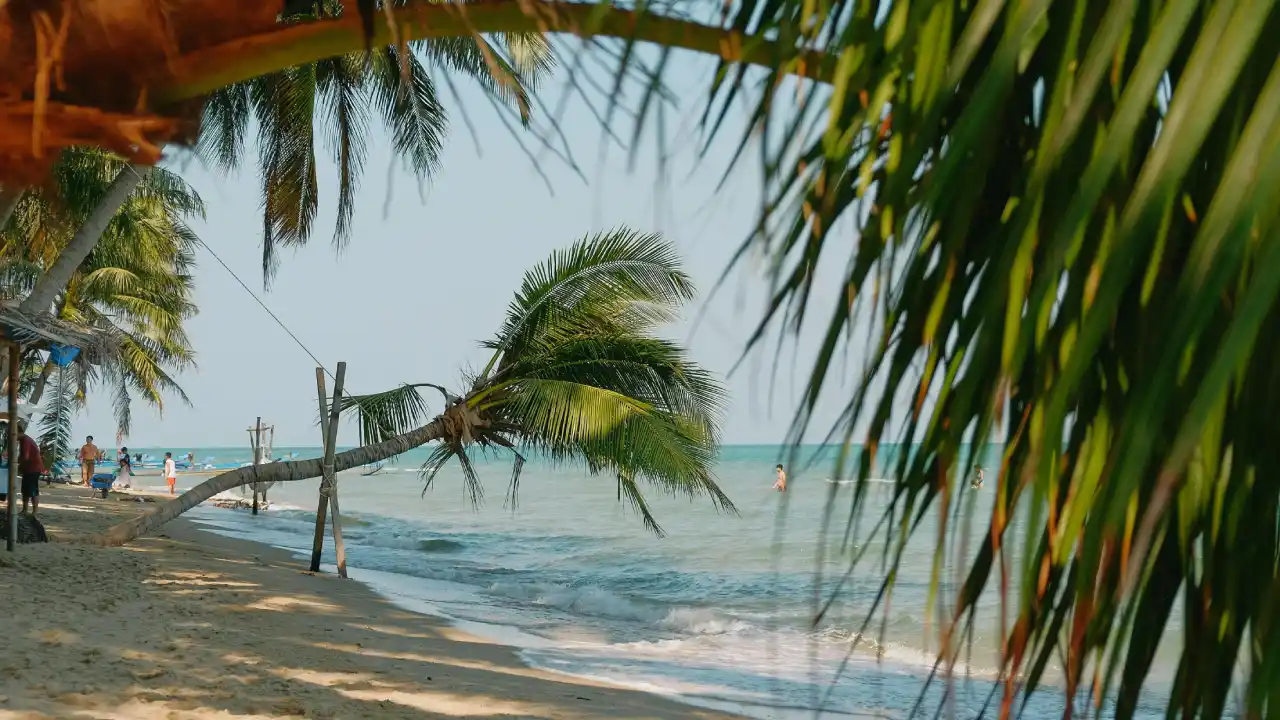 Beaches Near Bangkok.webp