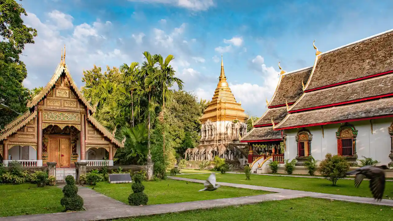 Chiang Mai Thailand.webp