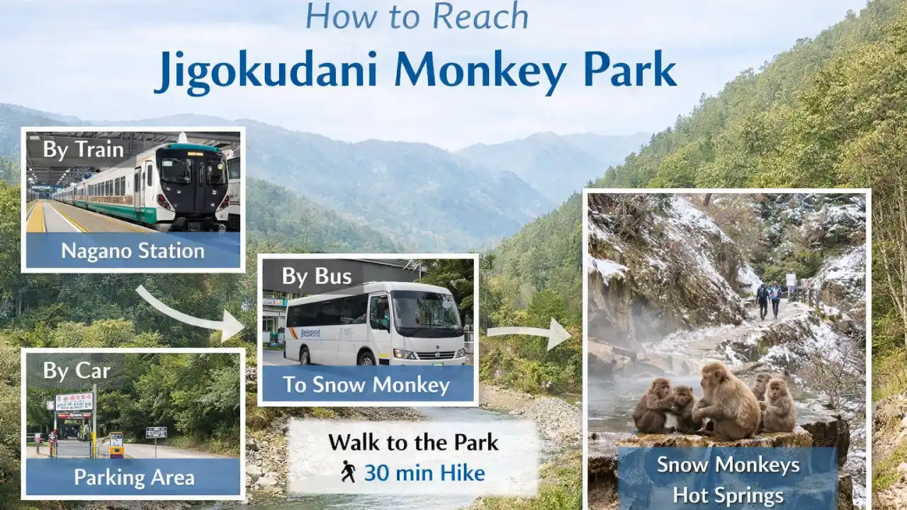 How to Reach Jigokudani Monkey Park Japan.webp