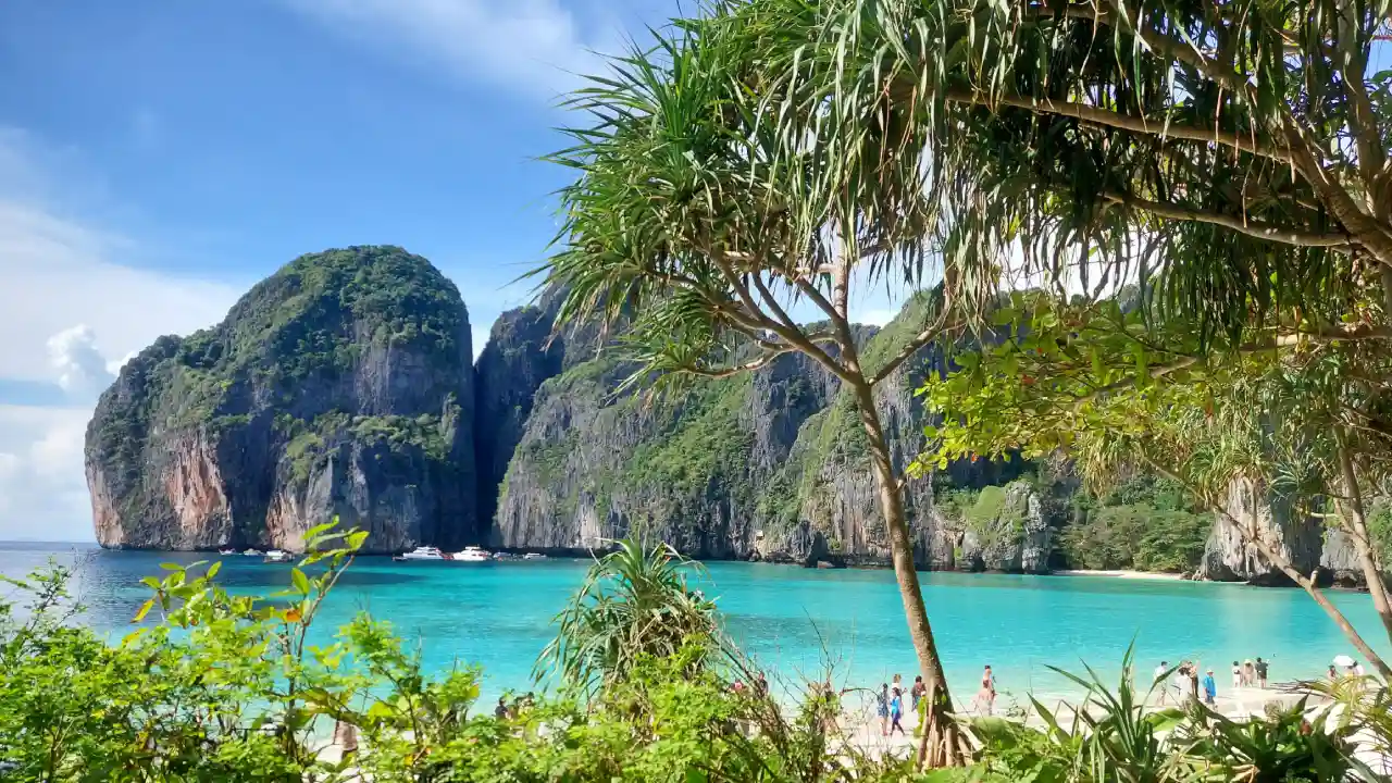 Maya Bay (2).webp