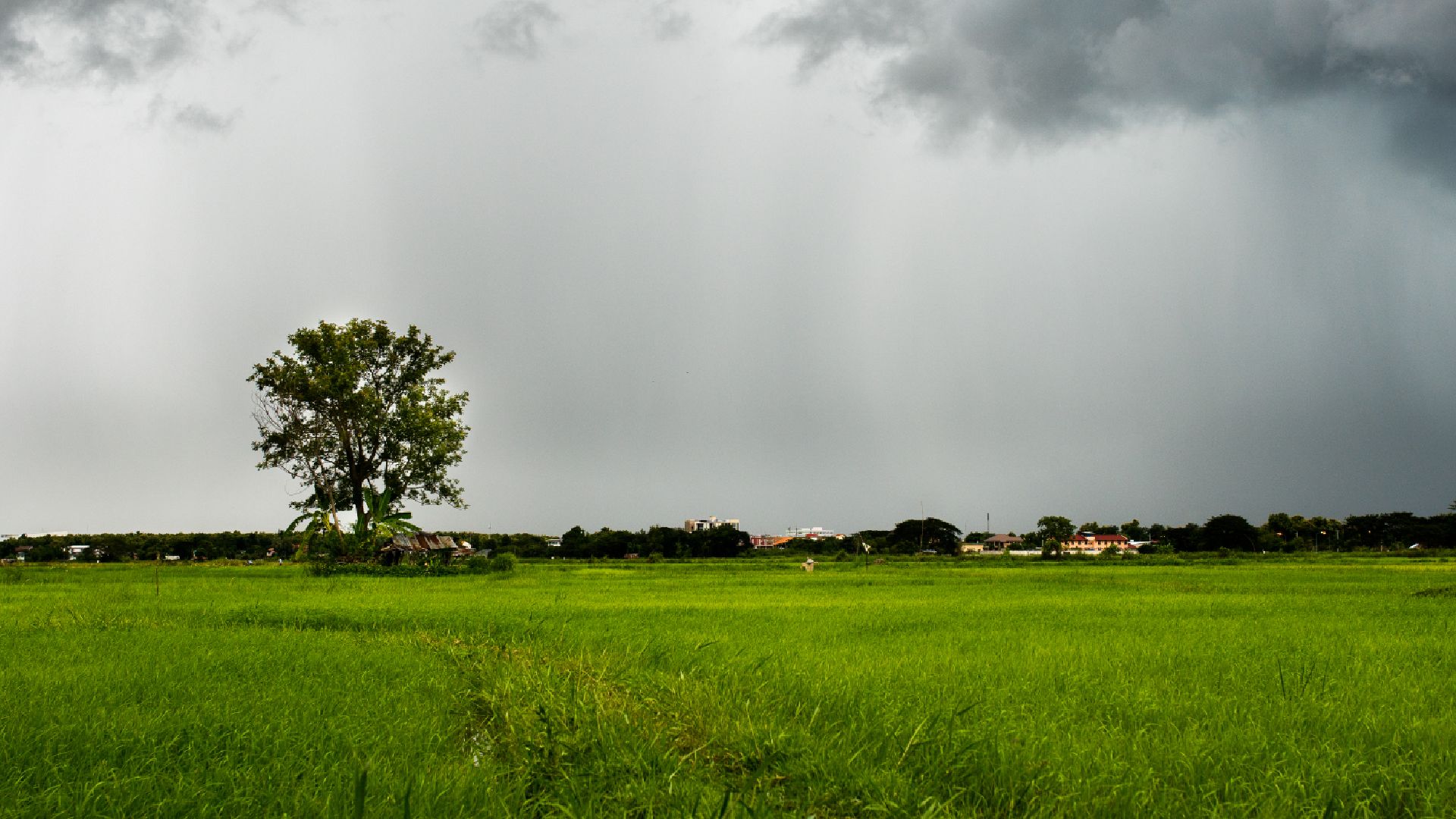 Kurukshetra Weather Today: Current Conditions, Forecast, and Climate Overview Kurukshetra Weather Today: Current Conditions, Forecast, and Climate Overview