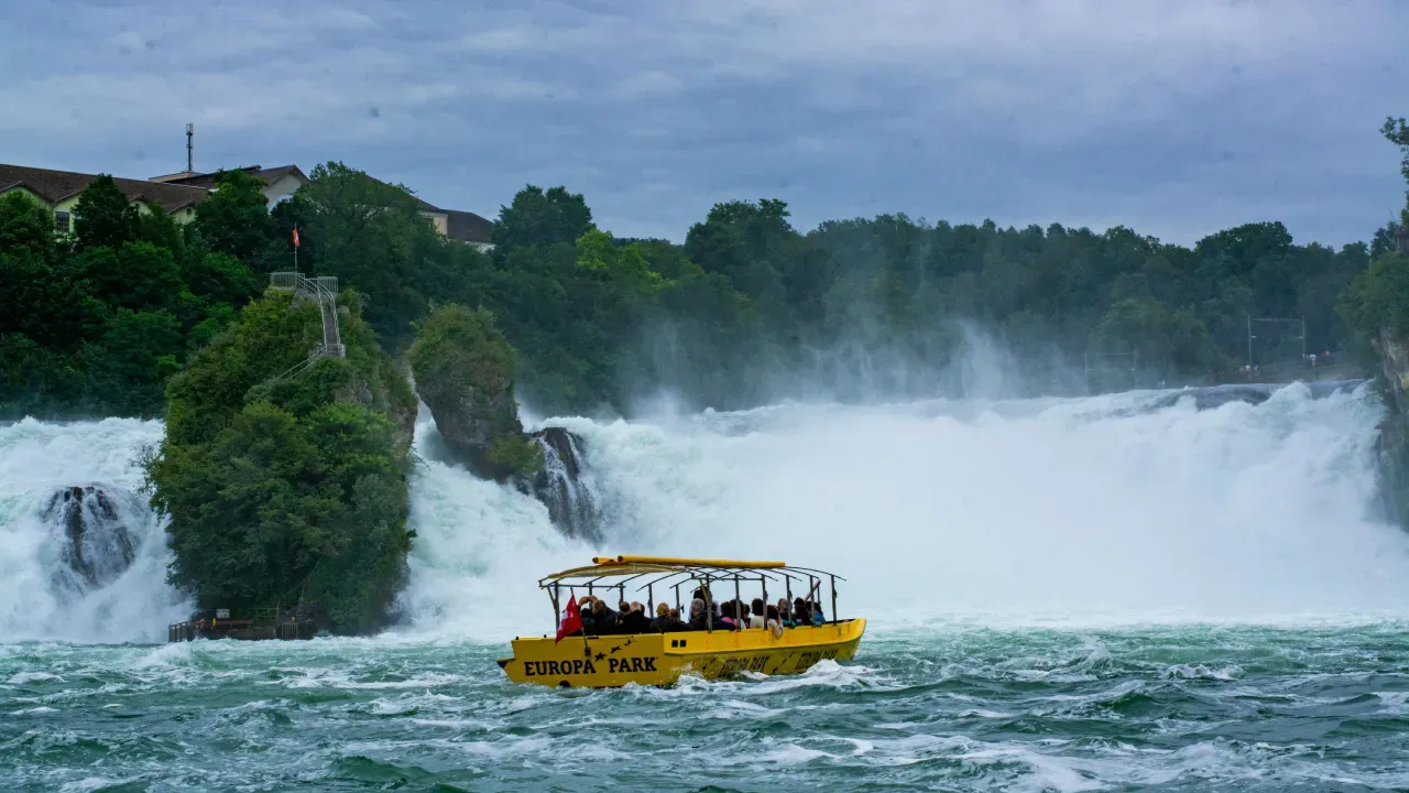 Rhine Falls Guided Tours.webp