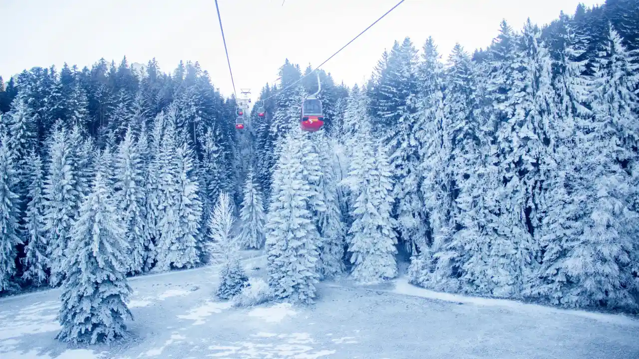 Things to do in  Things to Do on Mt. Pilatus.webp