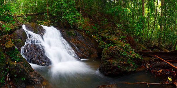 Bang Pae Waterfall Phuket, Thailand - Pickyourtrail