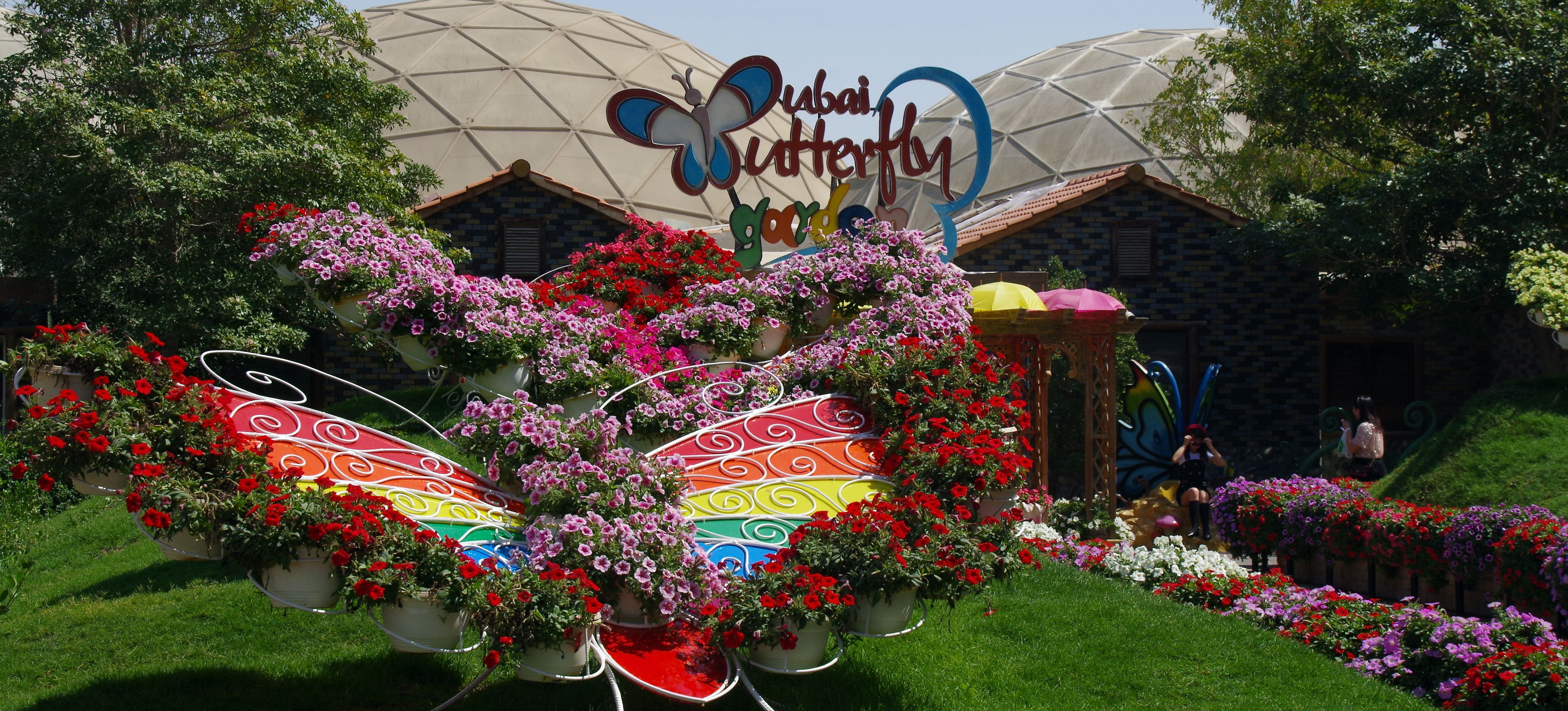 Dubai Butterfly Garden Pickyourtrail