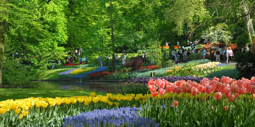 europe in spring.webp