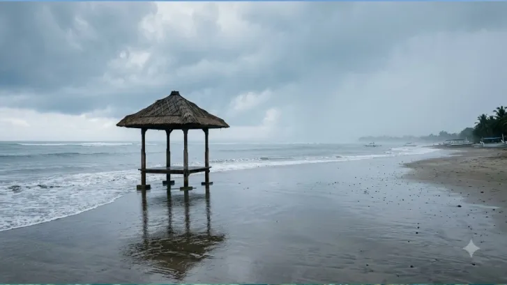 wet season.webp